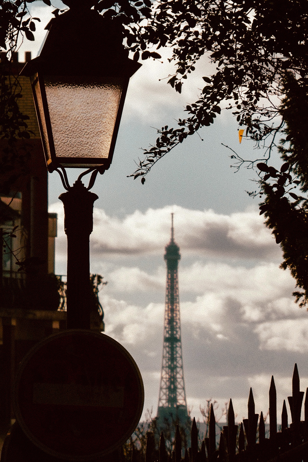 Eiffel Tower framed by a street lamp and foliage